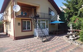 Casa Lidia și Gogu